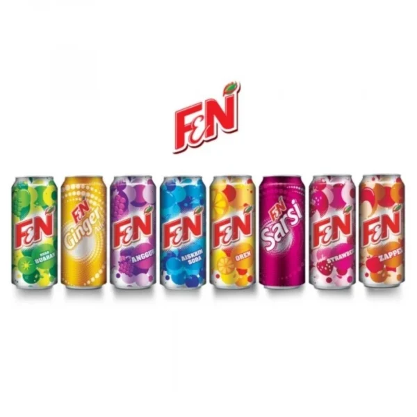 F N FUN FLAVOUR Assorted 1 Carton